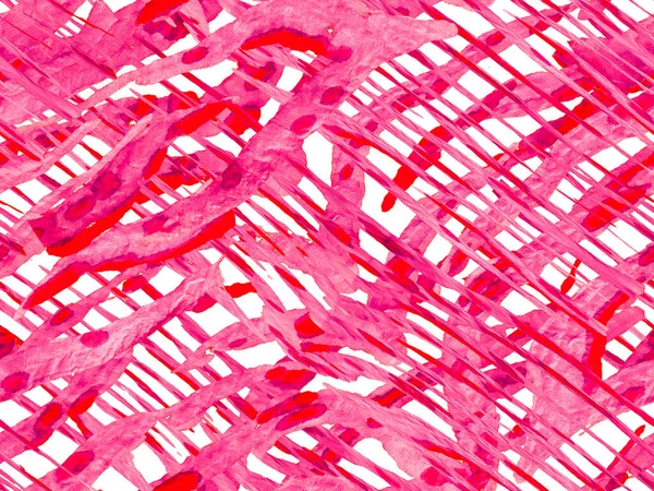 Afrikanskt Mönster Ränder Sömlösa Mönster Geometrisk Djurstruktur Crimson Red Zebra — Stockfoto