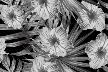 Siyah beyaz egzotik desen. Canavar yaprakları ve amber çiçekleri yaz baskısı. Doymuş büyük çiçekli mayo izi. Yatay Kaliforniya doğal doku tasarımı. Güzel bahar botanik tasarımı.