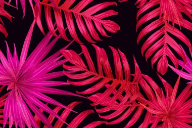 Pembe kırmızı egzotik desen. Canavar ve amber çiçekleri tropik buket. Hawaii tişörtü ve mayo fayansı. Yatay Kaliforniya doğal doku tasarımı. Aşırı doğal botanik tasarımı.