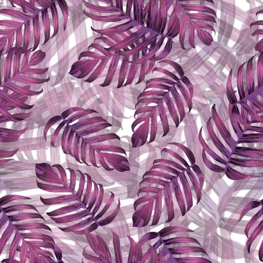 Palm Monstera Kusursuz Düzen. Magenta Tropik Yaz Arkaplanı. Plaj Ormanı Mayo Tasarımı Yaprakları. Lei Uyum. Klasik Hawai baskısı. Egzotik doku. Botanik fayansları.