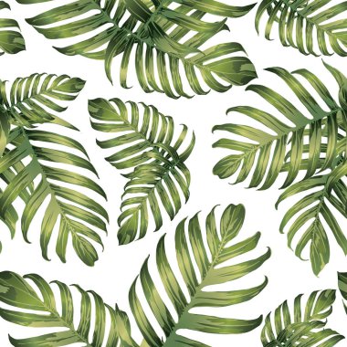 Palmiye Canavarı Egzotik Kusursuz Desen. Yeşil Beyaz Tropikal Yaz Arkaplanı. Plaj Ormanı Mayo Tasarımı Yaprakları. Lei Uyum. Retro Hawai baskısı. Egzotik doku. Botanik döşemesi.