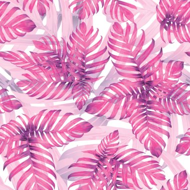 Palm Monstera Kusursuz Düzen. Beyaz Pembe Tropik Yaz Arkaplanı. Plaj Ormanı Mayo Tasarımı Yaprakları. Lei Uyum. Klasik Hawai baskısı. Egzotik doku. Botanik fayansları.