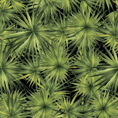 Palm Monstera Kusursuz Düzen. Yeşil Siyah Tropikal Yaz Arkaplanı. Plaj Ormanı Mayo Tasarımı Yaprakları. Lei Uyum. Retro Hawai baskısı. Egzotik doku. Botanik fayansları.