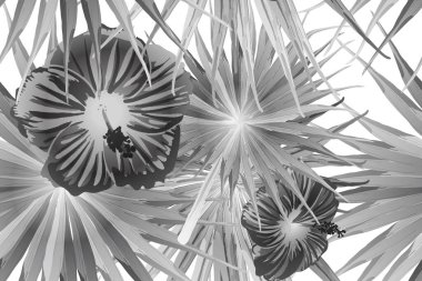 Siyah beyaz egzotik desen. Canavar yaprakları ve amber çiçekleri yaz baskısı. Hawaii tişörtü ve mayo fayansı. Yatay Kaliforniya doğal doku tasarımı. Aşırı doğal botanik tasarımı.