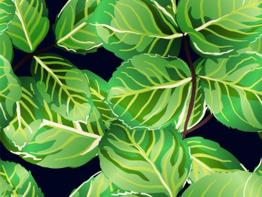 Rose Leaves Leamless Destern 'de. Boyalı İngiliz Yaprak Örnekleri Koleksiyonu. Tekrarlanan Bahar Şakayığı Duvar Kağıdı. Yeşil ve Siyah Yaz Tekstil Tasarımı. Romantik Botanik Vektör Arkaplanı.