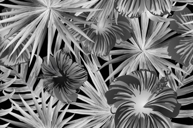 Siyah beyaz egzotik desen. Canavar yaprakları ve amber çiçekleri yaz baskısı. Hawaii tişörtü ve mayo fayansı. Yatay Kaliforniya doğal doku tasarımı. Güzel bahar botanik tasarımı.