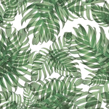 Palm Monstera Kusursuz Düzen. Beyaz Yeşil Tropikal Yaz Arkaplanı. Plaj Ormanı Mayo Tasarımı Yaprakları. Lei Uyum. Klasik Hawai baskısı. Egzotik doku. Botanik fayansları.