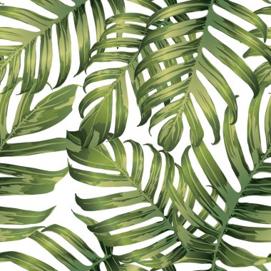 Palm Monstera Kusursuz Düzen. Yeşil Beyaz Tropikal Yaz Arkaplanı. Plaj Ormanı Mayo Tasarımı Yaprakları. Lei Uyum. Retro Hawai baskısı. Egzotik doku. Botanik döşemesi.