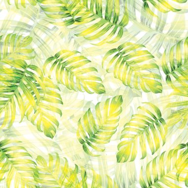 Palmiye Canavarı Egzotik Kusursuz Desen. Yeşil Beyaz Tropikal Yaz Arkaplanı. Plaj ve Orman Yaprakları Mayo Tasarımı için. Lei Uyum. Klasik Hawai baskısı. Egzotik doku. Botanik fayansları.