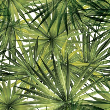 Palm Monstera Kusursuz Düzen. Yeşil Beyaz Tropikal Yaz Arkaplanı. Plaj Ormanı Mayo Tasarımı Yaprakları. Lei Uyum. Retro Hawai baskısı. Tropik Tekstil dokusu. Botanik döşemesi.