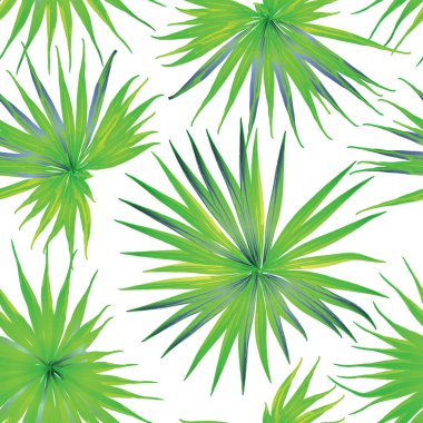 Palm Monstera Kusursuz Düzen. Beyaz Yeşil Tropikal Yaz Arkaplanı. Plaj Ormanı Mayo Tasarımı Yaprakları. Lei Uyum. Retro Hawai baskısı. Tropik Tekstil dokusu. Botanik fayansları.
