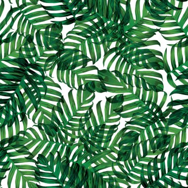 Palm Monstera Kusursuz Düzen. Beyaz Yeşil Tropikal Yaz Arkaplanı. Plaj Ormanı Mayo Tasarımı Yaprakları. Lei Uyum. Retro Hawai baskısı. Tropik Tekstil dokusu. Botanik fayansları.