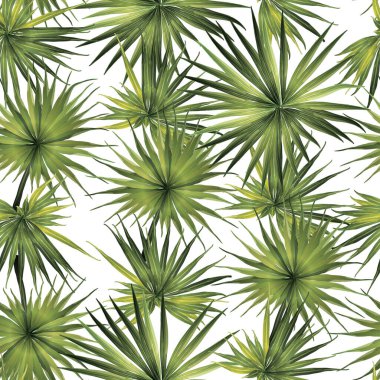 Palm Monstera Kusursuz Düzen. Yeşil Beyaz Tropikal Yaz Arkaplanı. Plaj ve Orman Yaprakları Mayo Tasarımı için. Lei Uyum. Retro Hawai baskısı. Egzotik doku. Botanik döşemesi.