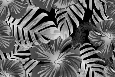 Siyah beyaz egzotik desen. Canavar yaprakları ve amber çiçekleri yaz baskısı. Hawaii tişörtü ve mayo fayansı. Yatay romantik vahşi vektör egzotik fayans. Güzel bahar botanik tasarımı.