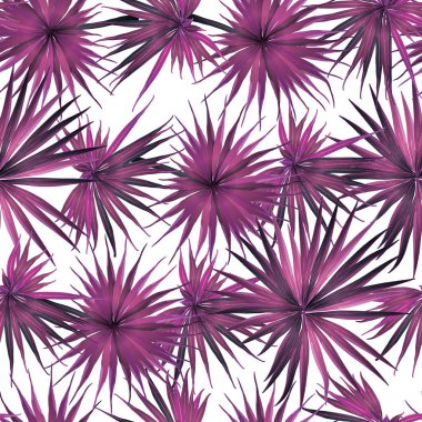 Palm Monstera Kusursuz Düzen. Magenta Tropik Yaz Arkaplanı. Plaj Ormanı Mayo Tasarımı Yaprakları. Lei Uyum. Retro Hawai baskısı. Egzotik doku. Botanik döşemesi.