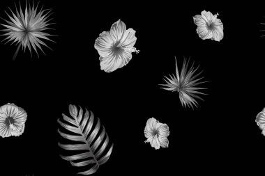 Siyah beyaz egzotik desen. Canavar ve amber çiçekleri tropik buket. Doymuş büyük çiçekli mayo izi. Yatay Kaliforniya doğal doku tasarımı. Aşırı doğal botanik tasarımı.