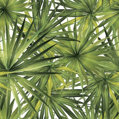 Palm Monstera Kusursuz Düzen. Yeşil Beyaz Tropikal Yaz Arkaplanı. Plaj ve Orman Yaprakları Mayo Tasarımı için. Lei Uyum. Klasik Hawai baskısı. Egzotik doku. Botanik fayansları.