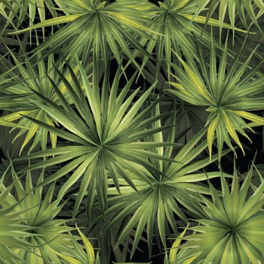 Palm Monstera Kusursuz Düzen. Yeşil Siyah Tropikal Yaz Arkaplanı. Plaj Ormanı Mayo Tasarımı Yaprakları. Lei Uyum. Retro Hawai baskısı. Egzotik doku. Botanik fayansları.