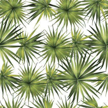 Palmiye Canavarı Egzotik Kusursuz Desen. Yeşil Beyaz Tropikal Yaz Arkaplanı. Plaj ve Orman Yaprakları Mayo Tasarımı için. Lei Uyum. Retro Hawai baskısı. Egzotik doku. Botanik fayansları.