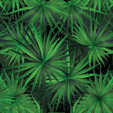 Palm Monstera Kusursuz Düzen. Siyah Yeşil Tropikal Yaz Arkaplanı. Plaj Ormanı Mayo Tasarımı Yaprakları. Lei Uyum. Klasik Hawai baskısı. Tropik Tekstil dokusu. Botanik döşemesi.