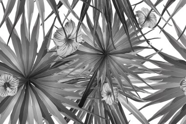 Siyah beyaz egzotik desen. Canavar ve amber çiçekleri tropik buket. Doymuş büyük çiçekli mayo izi. Yatay romantik vahşi vektör egzotik fayans. Güzel bahar botanik tasarımı.