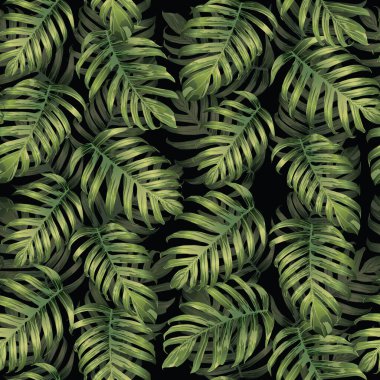 Palm Monstera Kusursuz Düzen. Yeşil Siyah Tropikal Yaz Arkaplanı. Plaj Ormanı Mayo Tasarımı Yaprakları. Lei Uyum. Klasik Hawai baskısı. Tropik Tekstil dokusu. Botanik döşemesi.