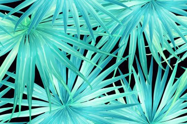 Cyan egzotik deseni. Canavar ve amber çiçekleri tropik buket. Hawaii tişörtü ve mayo fayansı. Yatay romantik vahşi vektör egzotik fayans. Güzel bahar botanik tasarımı.