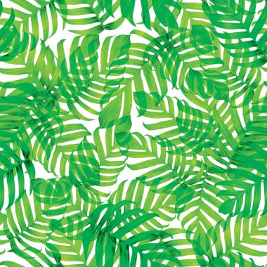 Palm Monstera Kusursuz Düzen. Beyaz Yeşil Tropikal Yaz Arkaplanı. Plaj Ormanı Mayo Tasarımı Yaprakları. Lei Uyum. Klasik Hawai baskısı. Tropik Tekstil dokusu. Botanik döşemesi.
