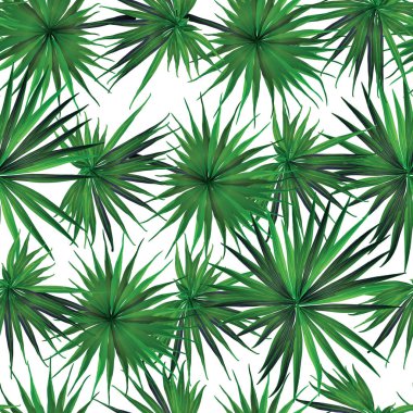 Palm Monstera Kusursuz Düzen. Beyaz Yeşil Tropikal Yaz Arkaplanı. Plaj Ormanı Mayo Tasarımı Yaprakları. Lei Uyum. Klasik Hawai baskısı. Egzotik doku. Botanik fayansları.