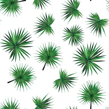 Palm Monstera Kusursuz Düzen. Beyaz Yeşil Tropikal Yaz Arkaplanı. Plaj Ormanı Mayo Tasarımı Yaprakları. Lei Uyum. Klasik Hawai baskısı. Egzotik doku. Botanik döşemesi.