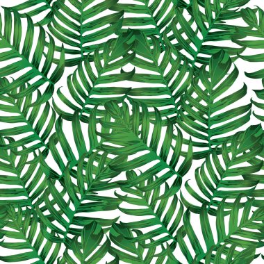 Palm Monstera Kusursuz Düzen. Beyaz Yeşil Tropikal Yaz Arkaplanı. Plaj Ormanı Mayo Tasarımı Yaprakları. Lei Uyum. Klasik Hawai baskısı. Tropik Tekstil dokusu. Botanik fayansları.