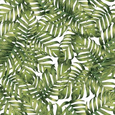 Palmiye Canavarı Egzotik Kusursuz Desen. Yeşil Beyaz Tropikal Yaz Arkaplanı. Plaj Ormanı Mayo Tasarımı Yaprakları. Lei Uyum. Retro Hawai baskısı. Egzotik doku. Botanik fayansları.