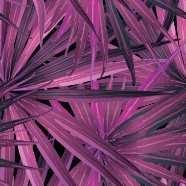Palm Monstera Kusursuz Düzen. Siyah Pembe Tropik Yaz Arkaplanı. Plaj Ormanı Mayo Tasarımı Yaprakları. Lei Uyum. Klasik Hawai baskısı. Egzotik doku. Botanik fayansları.
