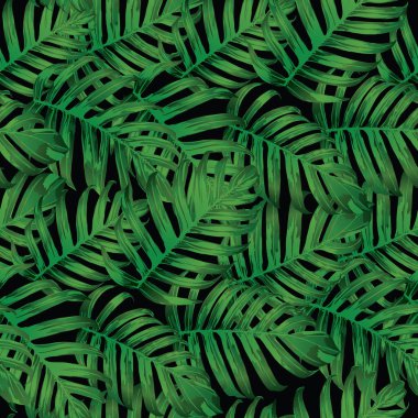 Palm Monstera Kusursuz Düzen. Siyah Yeşil Tropikal Yaz Arkaplanı. Plaj Ormanı Mayo Tasarımı Yaprakları. Lei Uyum. Retro Hawai baskısı. Egzotik doku. Botanik döşemesi.