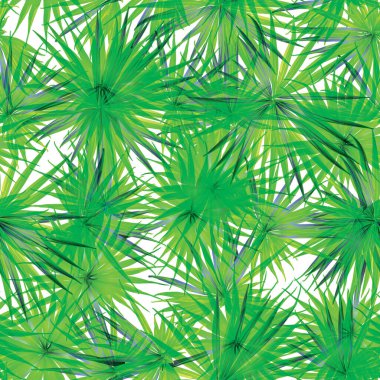 Palm Monstera Kusursuz Düzen. Beyaz Yeşil Tropikal Yaz Arkaplanı. Plaj Ormanı Mayo Tasarımı Yaprakları. Lei Uyum. Klasik Hawai baskısı. Egzotik doku. Botanik döşemesi.