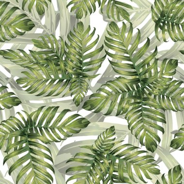 Palm Monstera Kusursuz Düzen. Yeşil Beyaz Tropikal Yaz Arkaplanı. Plaj Ormanı Mayo Tasarımı Yaprakları. Lei Uyum. Retro Hawai baskısı. Egzotik doku. Botanik döşemesi.