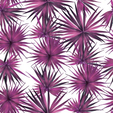 Palm Monstera Kusursuz Düzen. Magenta Tropik Yaz Arkaplanı. Plaj Ormanı Mayo Tasarımı Yaprakları. Lei Uyum. Retro Hawai baskısı. Egzotik doku. Botanik döşemesi.