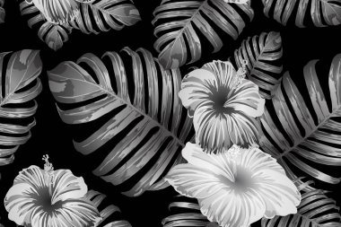 Siyah beyaz egzotik desen. Canavar ve amber çiçekleri tropik buket. Doymuş büyük çiçekli mayo izi. Yatay Kaliforniya doğal doku tasarımı. Güzel bahar botanik tasarımı.