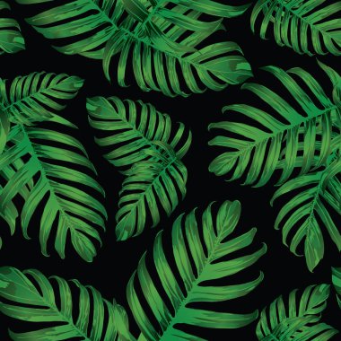 Palm Monstera Kusursuz Düzen. Siyah Yeşil Tropikal Yaz Arkaplanı. Plaj Ormanı Mayo Tasarımı Yaprakları. Lei Uyum. Klasik Hawai baskısı. Egzotik doku. Botanik fayansları.
