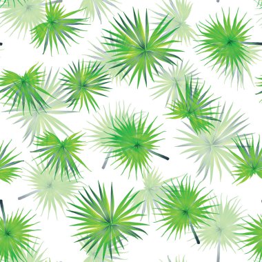 Palm Monstera Kusursuz Düzen. Beyaz Yeşil Tropikal Yaz Arkaplanı. Plaj Ormanı Mayo Tasarımı Yaprakları. Lei Uyum. Klasik Hawai baskısı. Tropik Tekstil dokusu. Botanik fayansları.