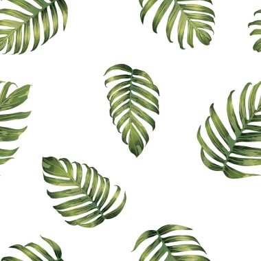 Palm Monstera Kusursuz Düzen. Yeşil Beyaz Tropikal Yaz Arkaplanı. Plaj Ormanı Mayo Tasarımı Yaprakları. Lei Uyum. Klasik Hawai baskısı. Egzotik doku. Botanik fayansları.
