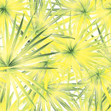 Palm Monstera Kusursuz Düzen. Yeşil Beyaz Tropikal Yaz Arkaplanı. Plaj ve Orman Yaprakları Mayo Tasarımı için. Lei Uyum. Retro Hawai baskısı. Egzotik doku. Botanik döşemesi.