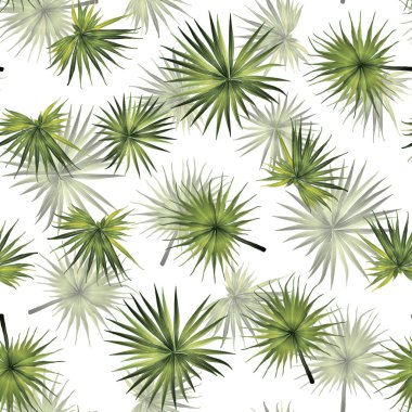 Palmiye Canavarı Egzotik Kusursuz Desen. Yeşil Beyaz Tropikal Yaz Arkaplanı. Plaj Ormanı Mayo Tasarımı Yaprakları. Lei Uyum. Retro Hawai baskısı. Tropik Tekstil dokusu. Botanik döşemesi.