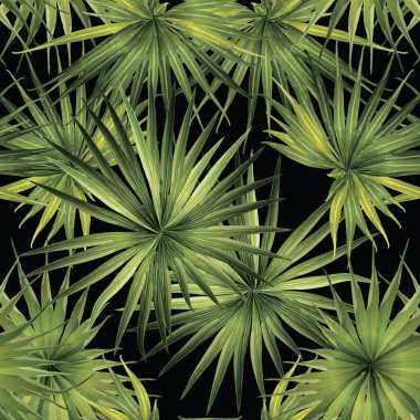 Palm Monstera Kusursuz Düzen. Yeşil Siyah Tropikal Yaz Arkaplanı. Plaj Ormanı Mayo Tasarımı Yaprakları. Lei Uyum. Klasik Hawai baskısı. Egzotik doku. Botanik döşemesi.