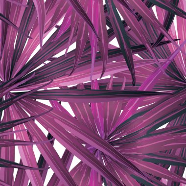 Palm Monstera Kusursuz Düzen. Magenta Tropik Yaz Arkaplanı. Plaj Ormanı Mayo Tasarımı Yaprakları. Lei Uyum. Retro Hawai baskısı. Egzotik doku. Botanik döşemesi.