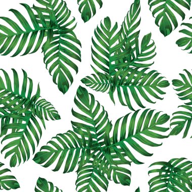Palm Monstera Kusursuz Düzen. Beyaz Yeşil Tropikal Yaz Arkaplanı. Plaj Ormanı Mayo Tasarımı Yaprakları. Lei Uyum. Retro Hawai baskısı. Tropik Tekstil dokusu. Botanik döşemesi.