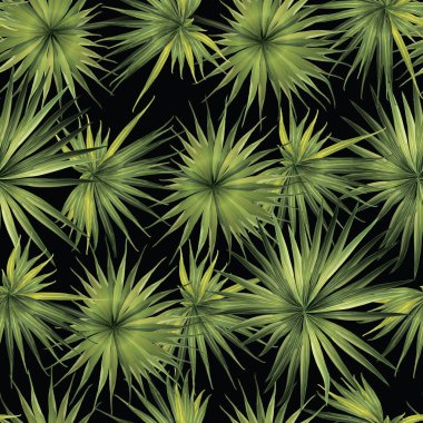 Palm Monstera Kusursuz Düzen. Yeşil Siyah Tropikal Yaz Arkaplanı. Plaj Ormanı Mayo Tasarımı Yaprakları. Lei Uyum. Klasik Hawai baskısı. Egzotik doku. Botanik fayansları.