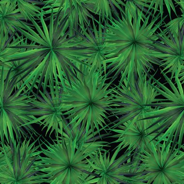 Palm Monstera Kusursuz Düzen. Siyah Yeşil Tropikal Yaz Arkaplanı. Plaj Ormanı Mayo Tasarımı Yaprakları. Lei Uyum. Retro Hawai baskısı. Egzotik doku. Botanik döşemesi.