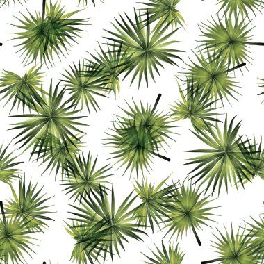 Palmiye Canavarı Egzotik Kusursuz Desen. Yeşil Beyaz Tropikal Yaz Arkaplanı. Plaj ve Orman Yaprakları Mayo Tasarımı için. Lei Uyum. Retro Hawai baskısı. Egzotik doku. Botanik döşemesi.