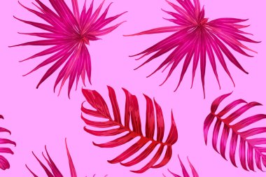 Pembe kırmızı egzotik desen. Canavar ve amber çiçekleri tropik buket. Hawaii tişörtü ve mayo fayansı. Yatay Kaliforniya doğal doku tasarımı. Aşırı doğal botanik tasarımı.